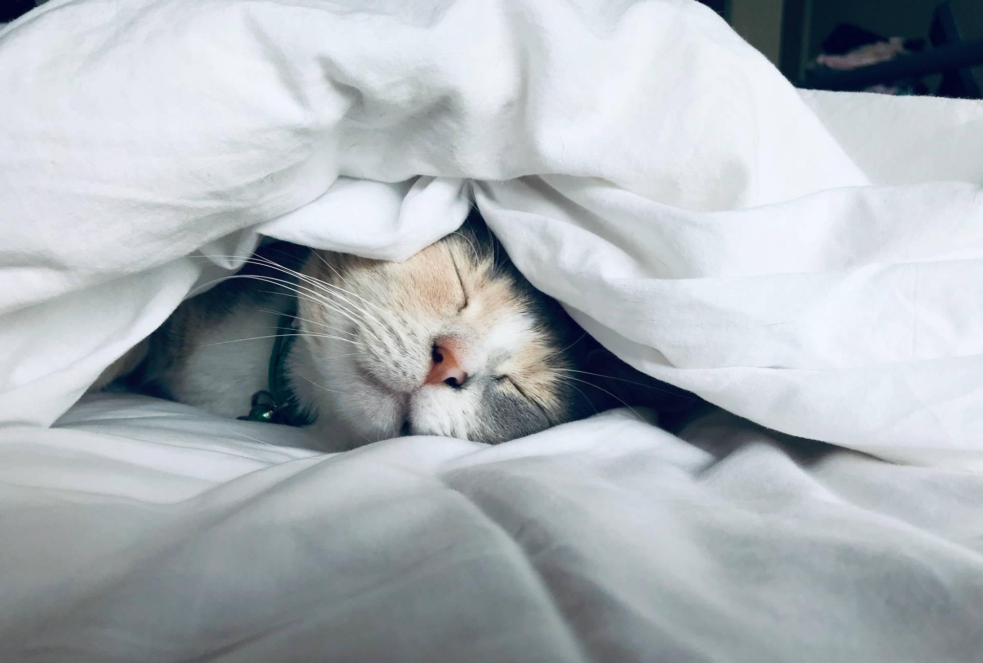重庆软件开发，睡眠监测app开发的功能介绍