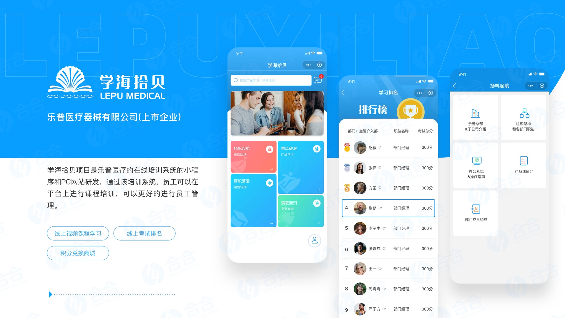 项目需求评估