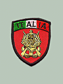ͼƬ424